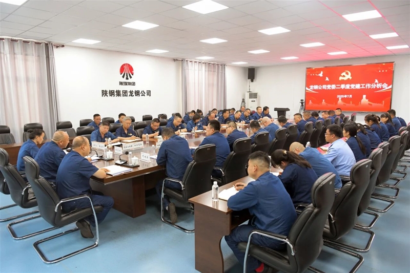 公司召开二季度党建工作分析会