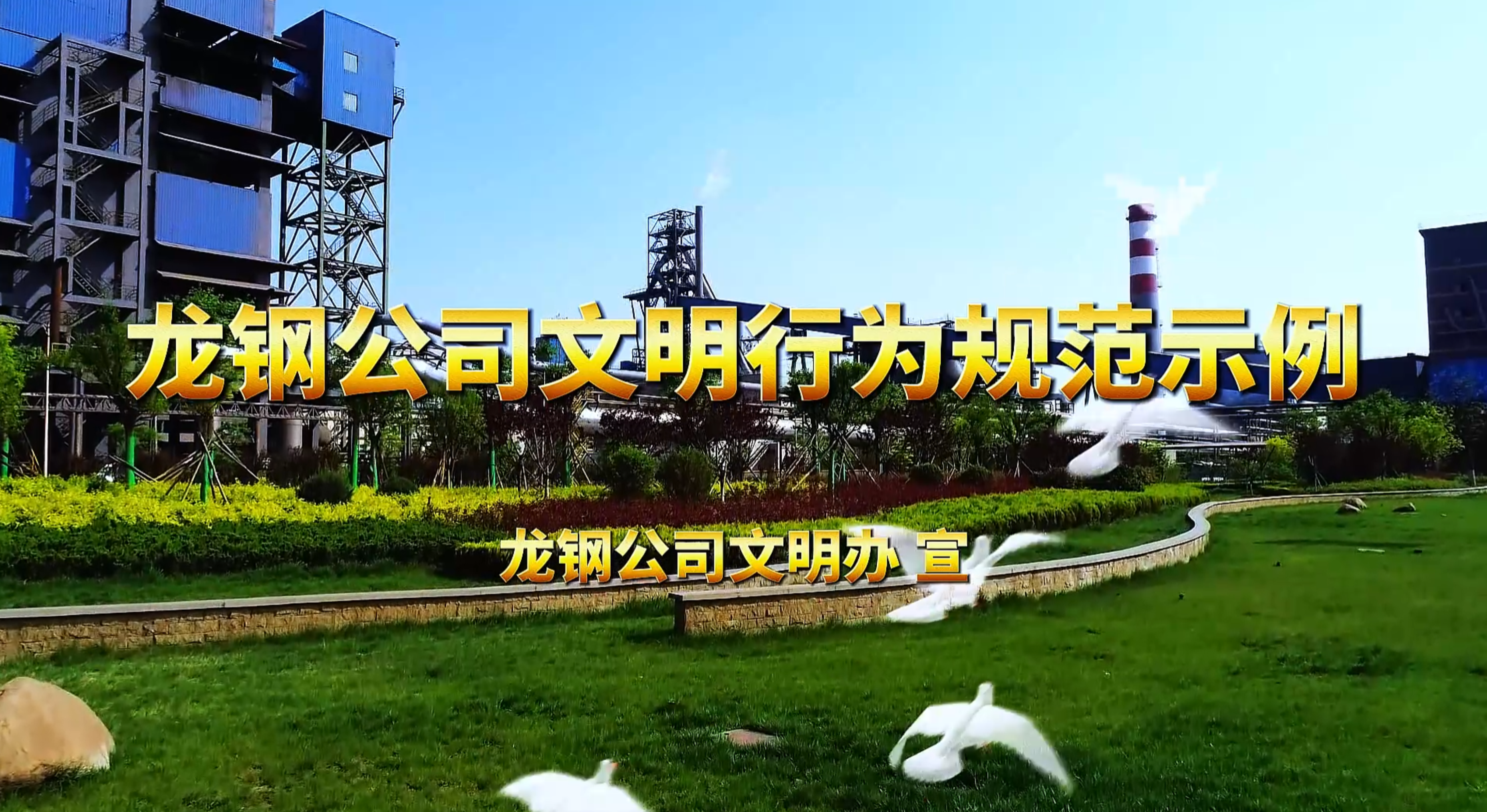 龙钢公司文明行为规范示例